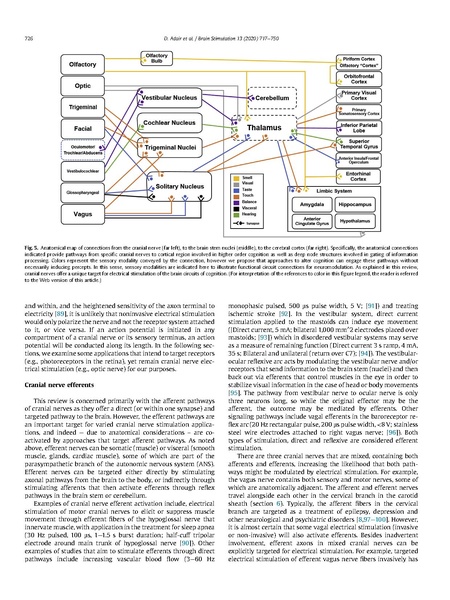 File:Electrical stimulation of cranial nerves in cognition and disease.pdf