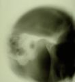 Thumbnail for version as of 12:20, 6 December 2020