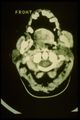 Thumbnail for version as of 14:17, 6 December 2020