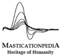 Thumbnail for version as of 23:41, 24 November 2020